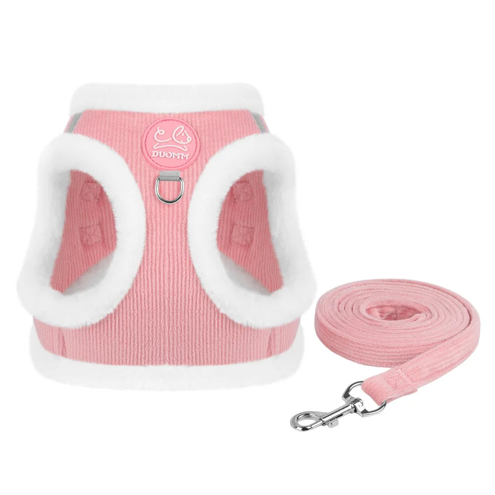 Cozy Corduroy Cat Harness & Leash Set π±π