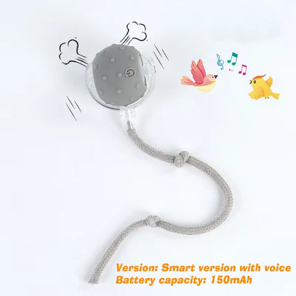 Smart Interactive Rolling Dog Ball 🎾🐶