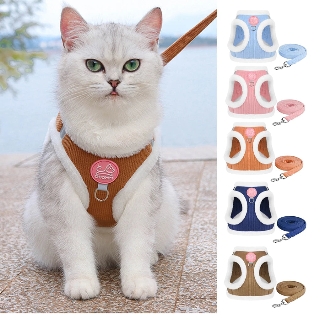 Cozy Corduroy Cat Harness & Leash Set 🐱🍂