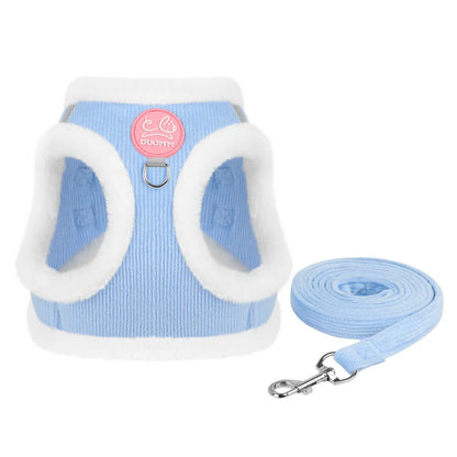 Cozy Corduroy Cat Harness & Leash Set 🐱🍂