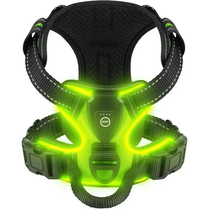 LED Glowing Dog Harness – Night Safety Vest 🔦🐾
