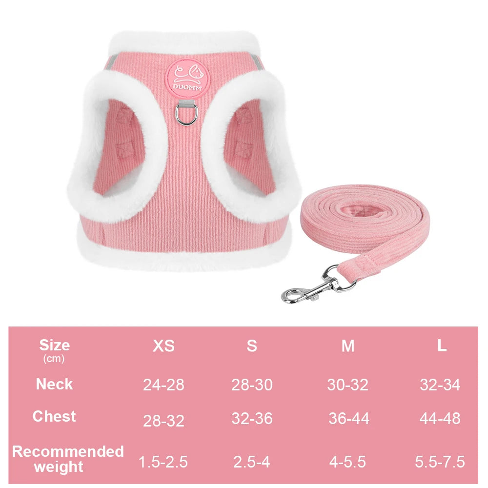 Cozy Corduroy Cat Harness & Leash Set 🐱🍂