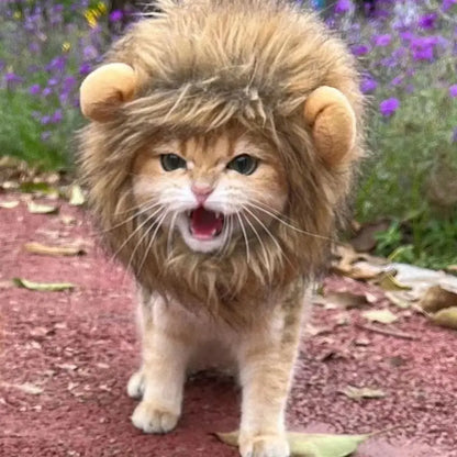 Cute Lion Mane Pet Costume Hat 🦁🐾