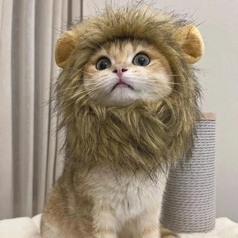 Cute Lion Mane Pet Costume Hat 🦁🐾