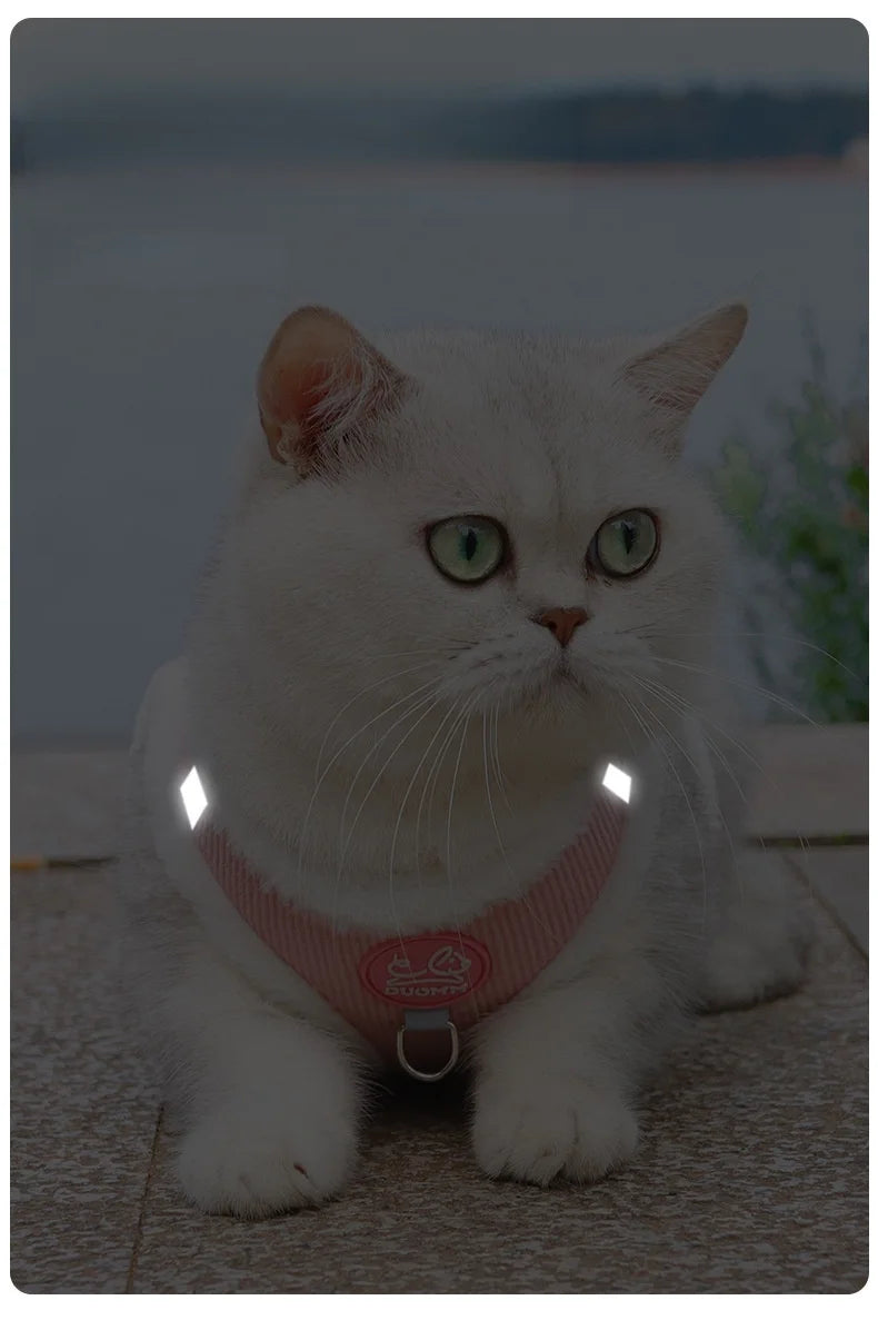 Cozy Corduroy Cat Harness & Leash Set 🐱🍂