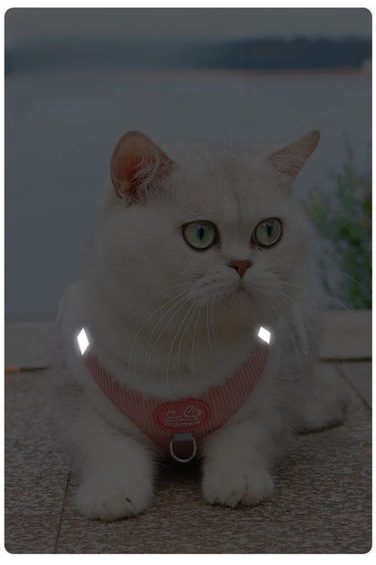 Cozy Corduroy Cat Harness & Leash Set 🐱🍂
