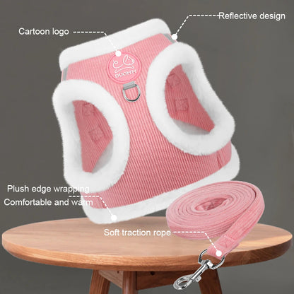 Cozy Corduroy Cat Harness & Leash Set 🐱🍂