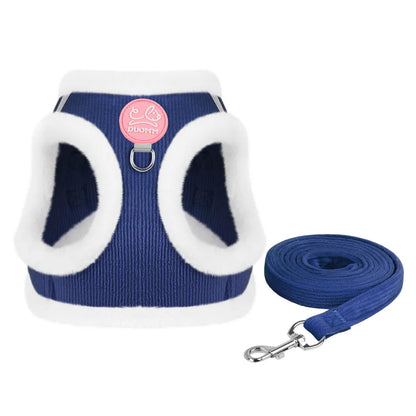 Cozy Corduroy Cat Harness & Leash Set 🐱🍂