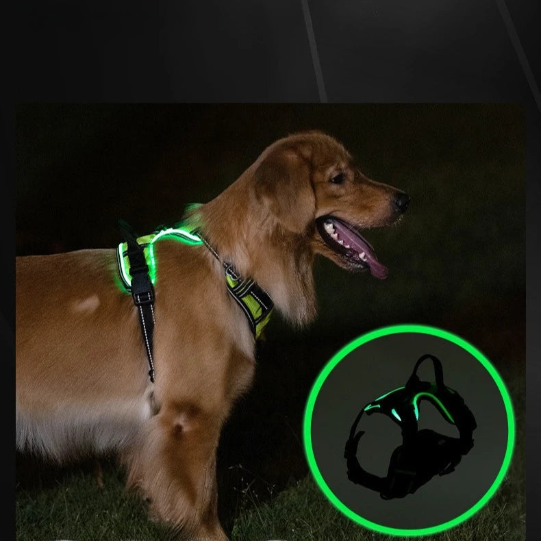 LED Glowing Dog Harness – Night Safety Vest 🔦🐾