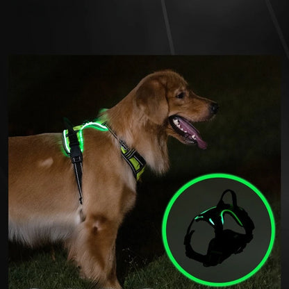 LED Glowing Dog Harness – Night Safety Vest 🔦🐾