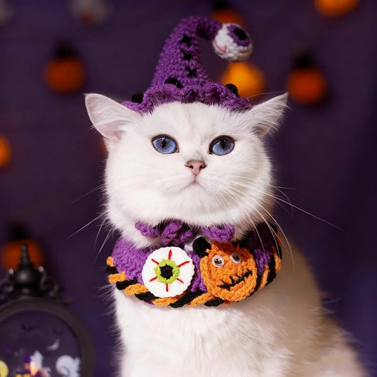 Festive Furry Friend Costume Set🎃