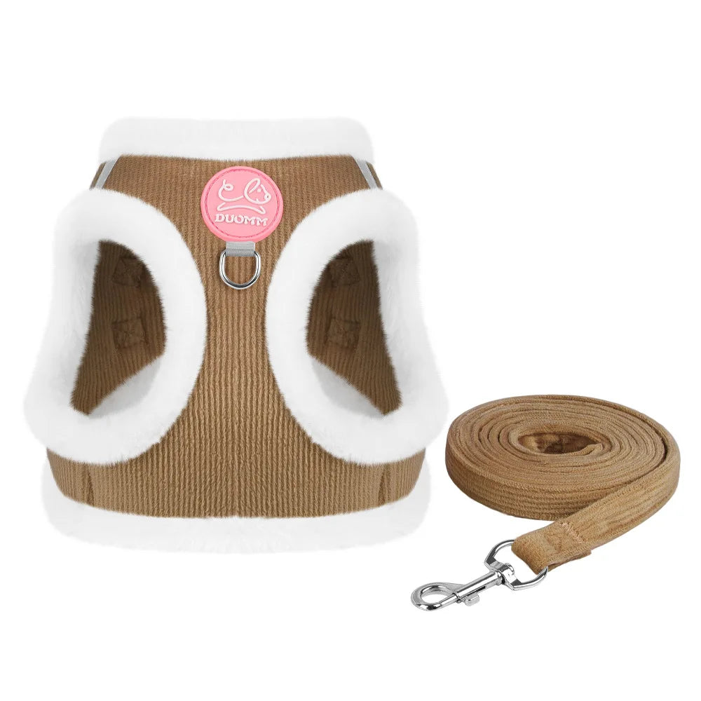 Cozy Corduroy Cat Harness & Leash Set 🐱🍂