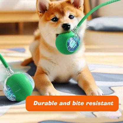Smart Interactive Rolling Dog Ball 🎾🐶