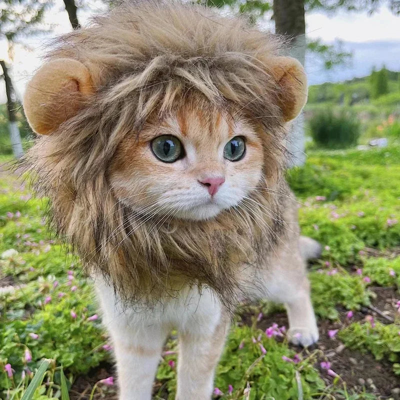 Cute Lion Mane Pet Costume Hat 🦁🐾