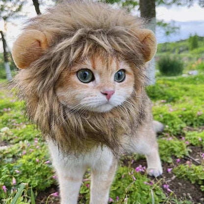 Cute Lion Mane Pet Costume Hat 🦁🐾