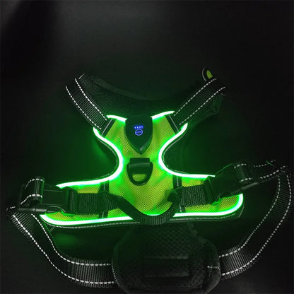 LED Glowing Dog Harness – Night Safety Vest 🔦🐾