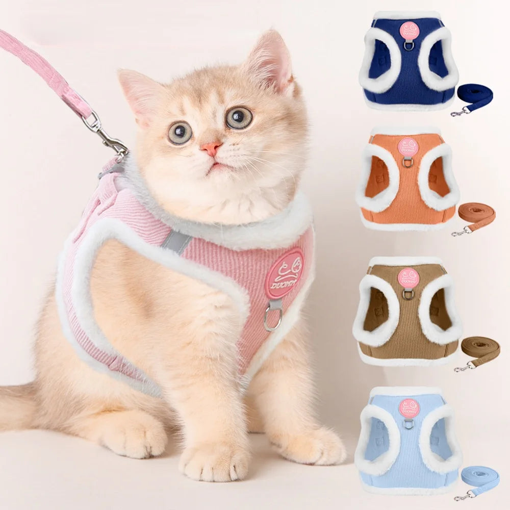 Cozy Corduroy Cat Harness & Leash Set 🐱🍂