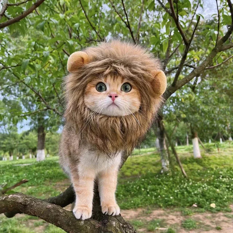 Cute Lion Mane Pet Costume Hat 🦁🐾