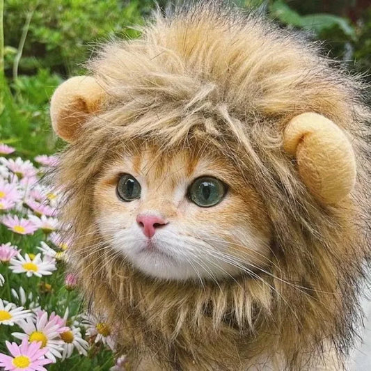 Cute Lion Mane Pet Costume Hat 🦁🐾