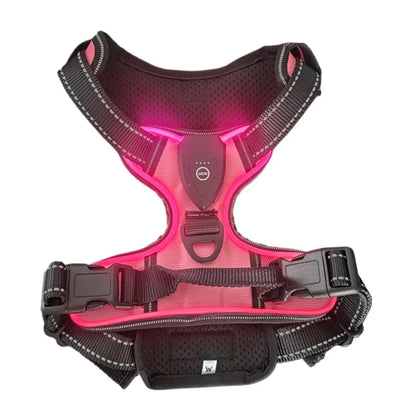 LED Glowing Dog Harness – Night Safety Vest 🔦🐾