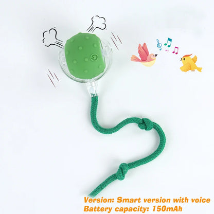 Smart Interactive Rolling Dog Ball 🎾🐶